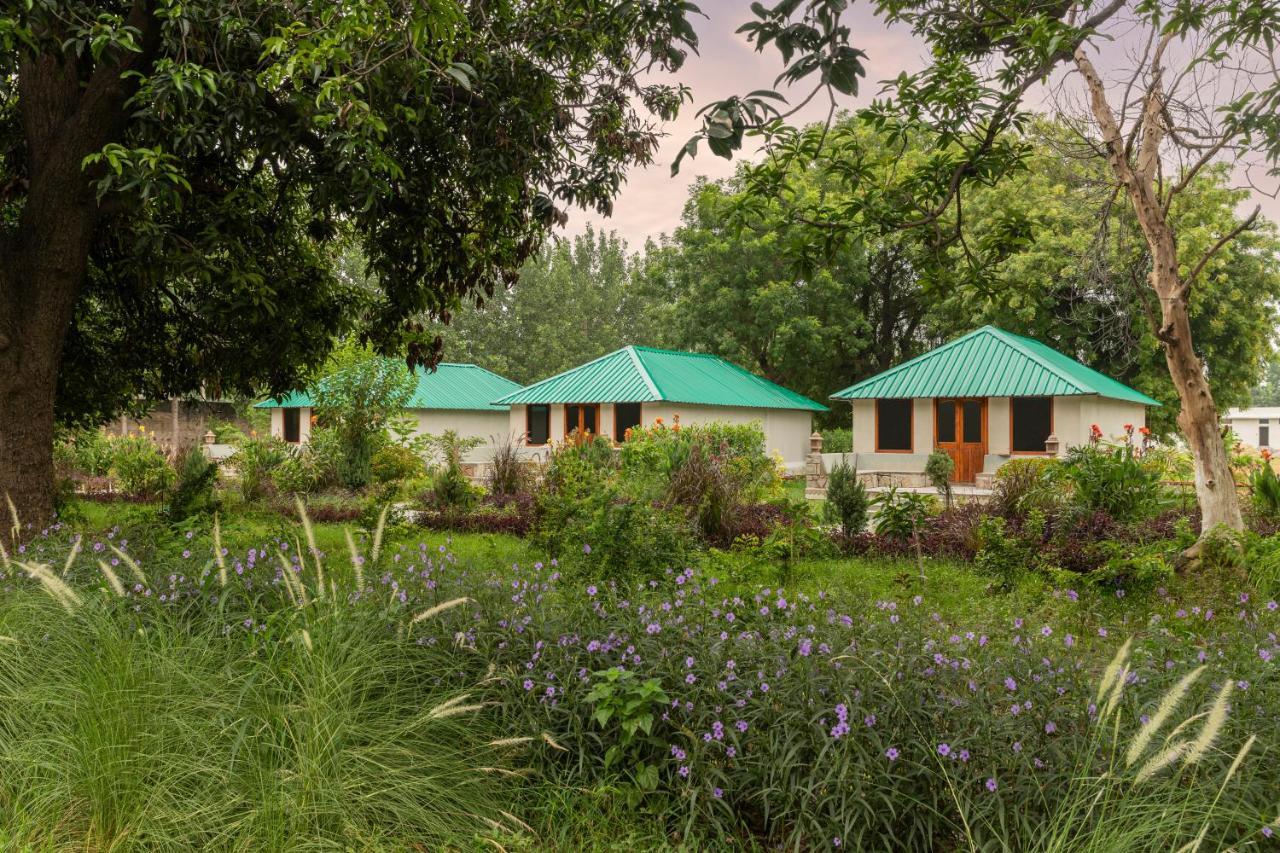Zana Luxury Forest Resort, Ranthambore Савай Мадхопур Екстериор снимка
