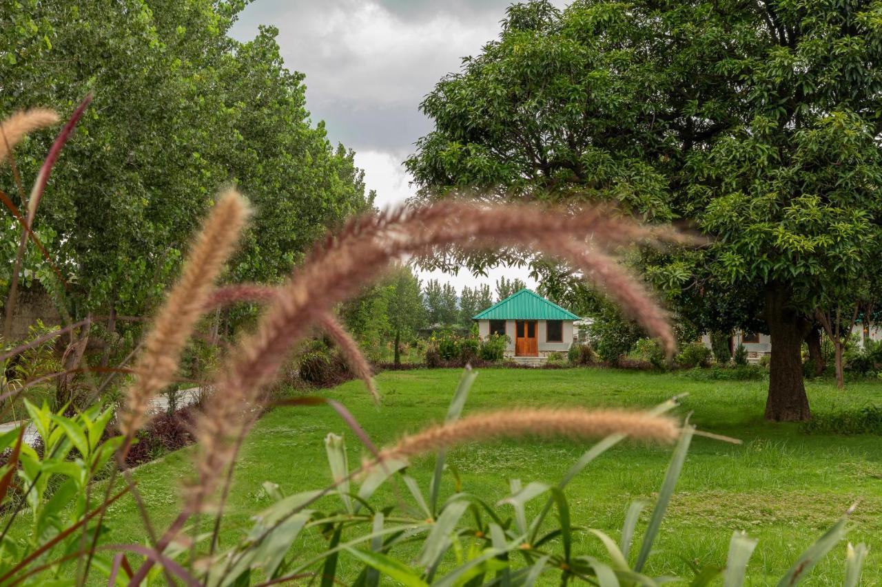 Zana Luxury Forest Resort, Ranthambore Савай Мадхопур Екстериор снимка