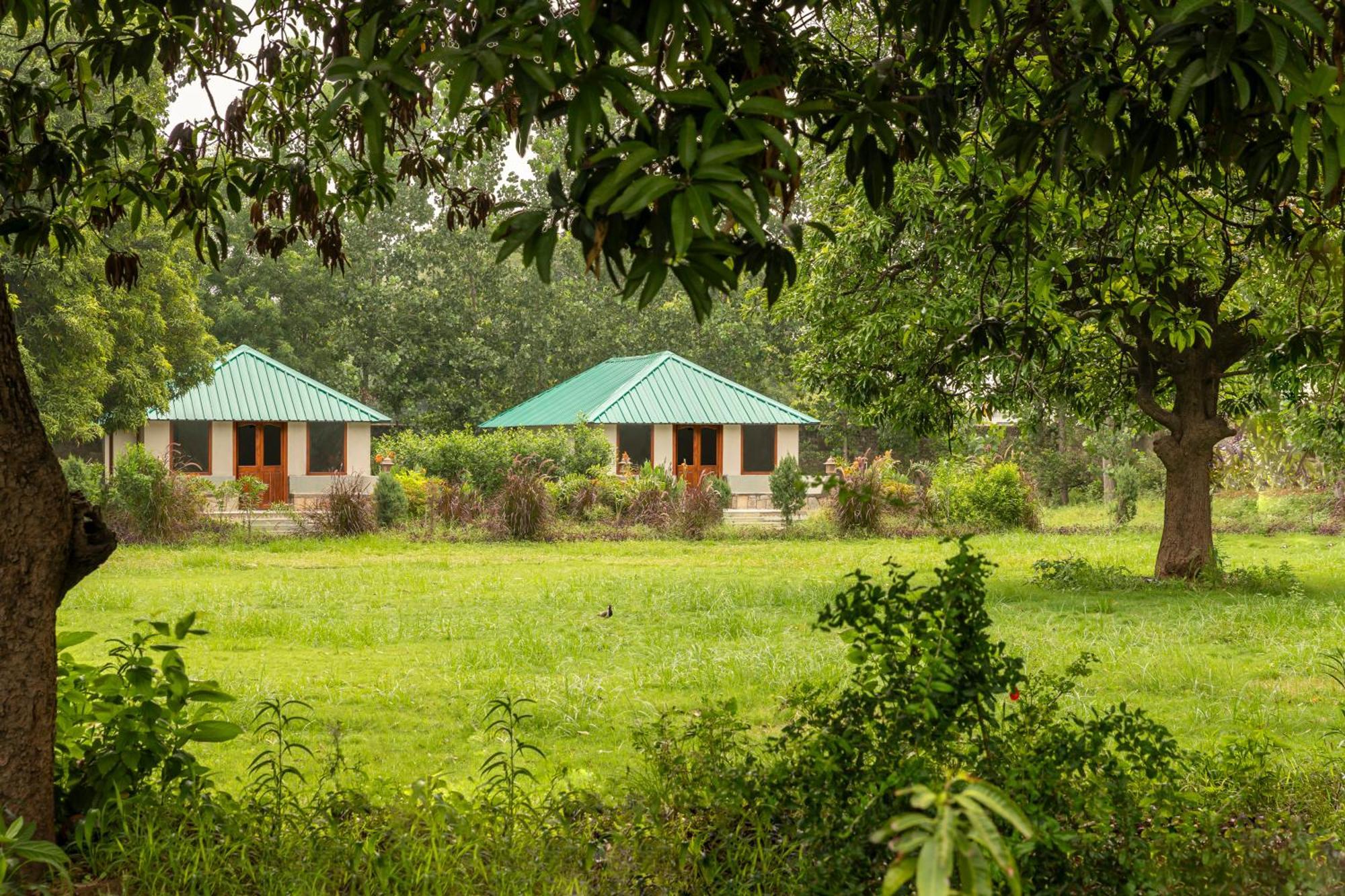 Zana Luxury Forest Resort, Ranthambore Савай Мадхопур Екстериор снимка